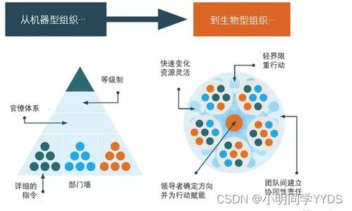數(shù)據(jù)治理之道 構(gòu)建敏捷治理組織與高效數(shù)據(jù)處理機(jī)制